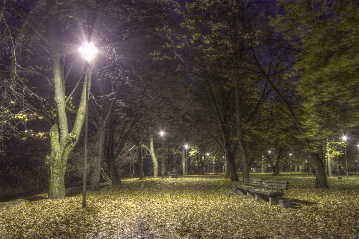 Sereikiškių parkas naktį, Vilnius
